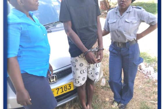 Genius at Work: Car Thief Crashes, Gets Caught, and Apparently Thought Swimming Would Be Next