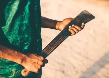 Bulawayo Attacks: Community on High Alert After Machete Incidents