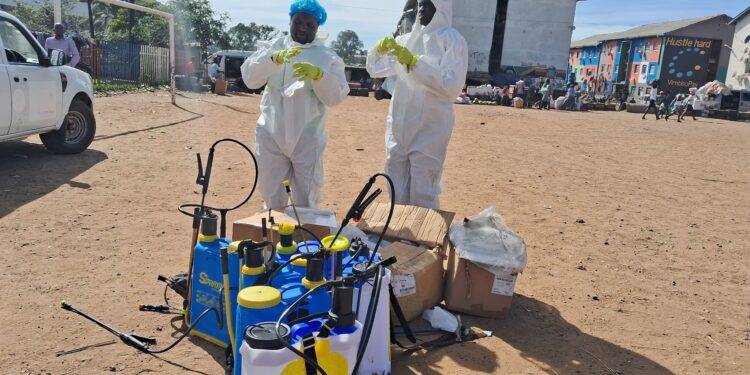 “5,490 Units Targeted in Mbare Bed Bug Crisis”: City of Harare Responds