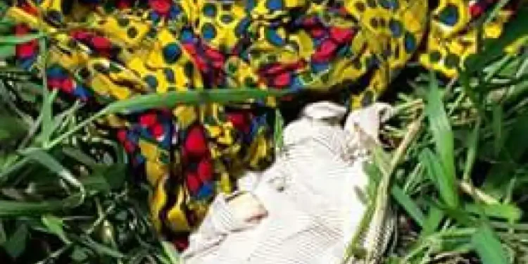 “Abandoned and Alone”: Harare Police Seek Answers in Baby Dumping Case