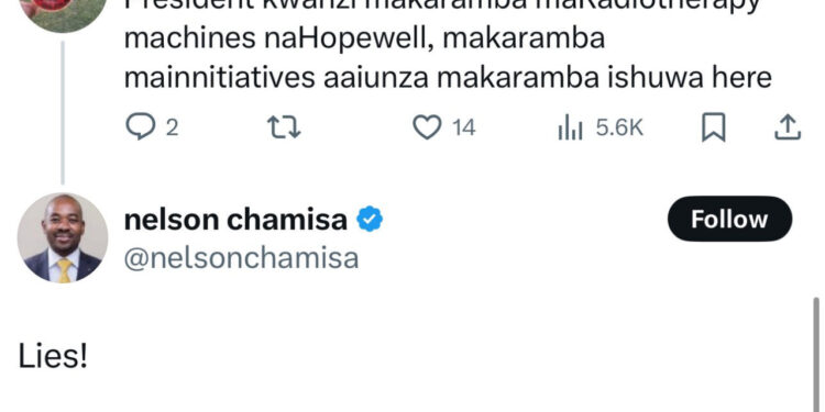 Chamisa blocks Chin’ono on X