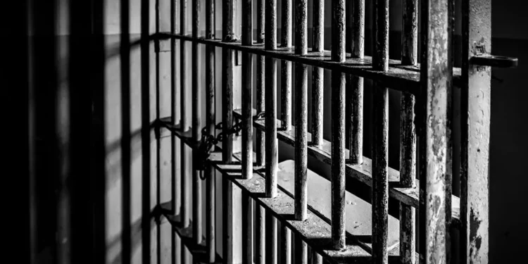 Zimbabwean National Sentenced to Life Imprisonment for Rape and Robbery
