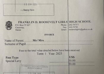 Roosevelt Girls High School in Hot Water: Parents Raise Concerns Over Fees and Governance